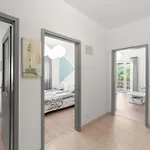 Fiorella 아파트 Novigrad Istria
